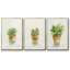 Succulent I, encadré sur toile, 3 pièces-163068313-163068310