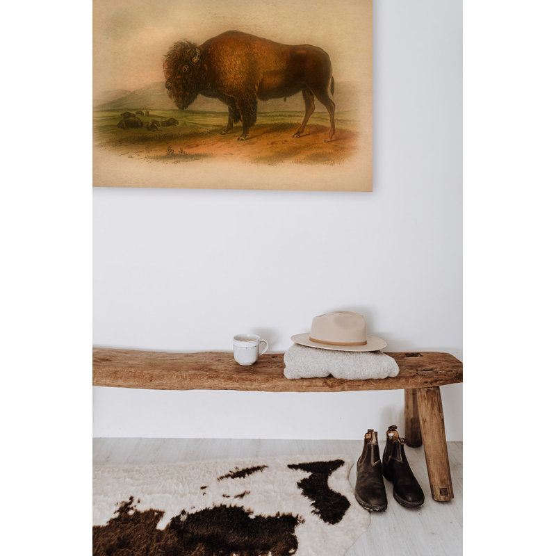 Western Bison in a Mood 24x36