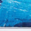 Tapis bleu à motif floral Achante-1678770589