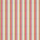 Helter Skelter Stripe Fabric