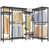 Black selected