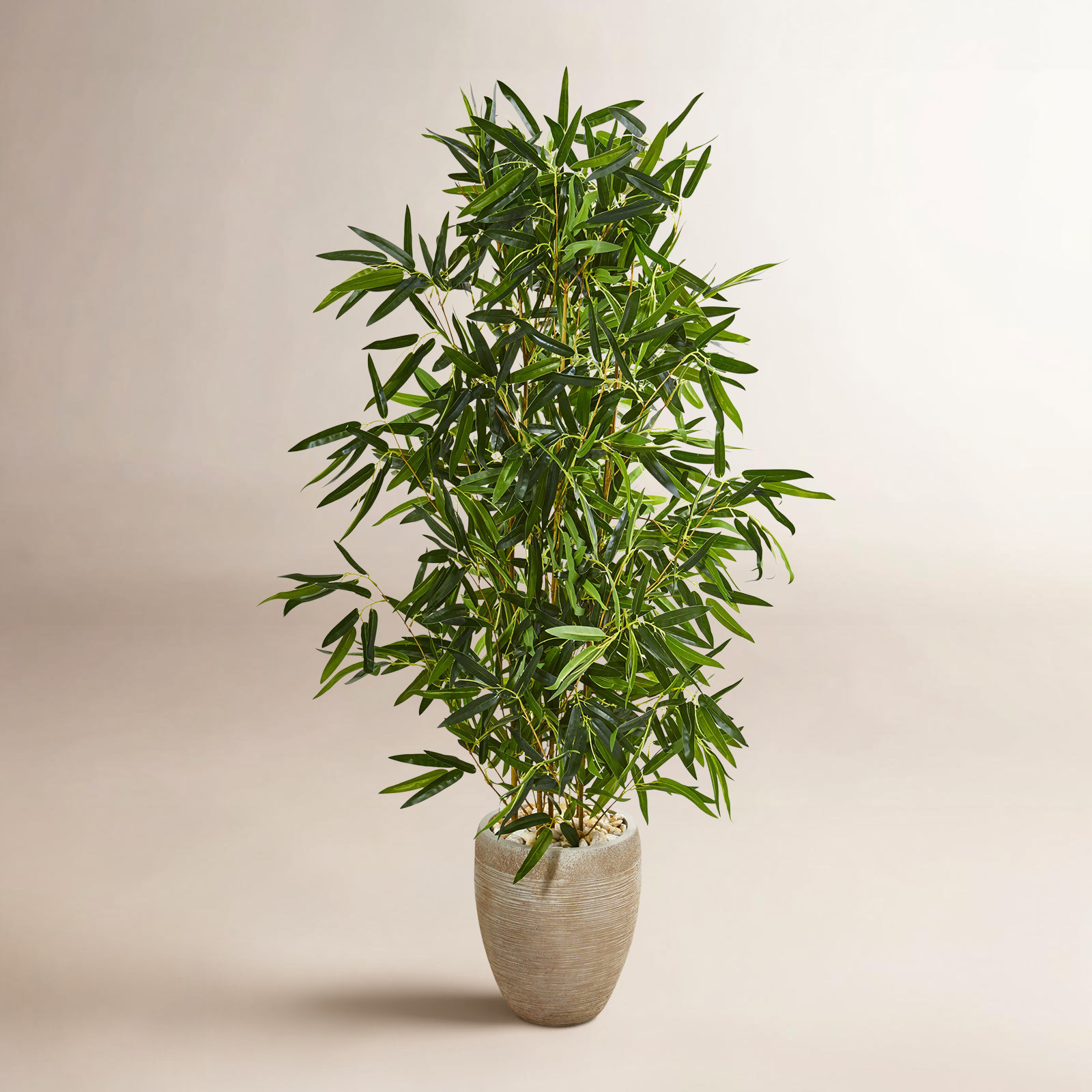 60" Real Touch Tree in Pot