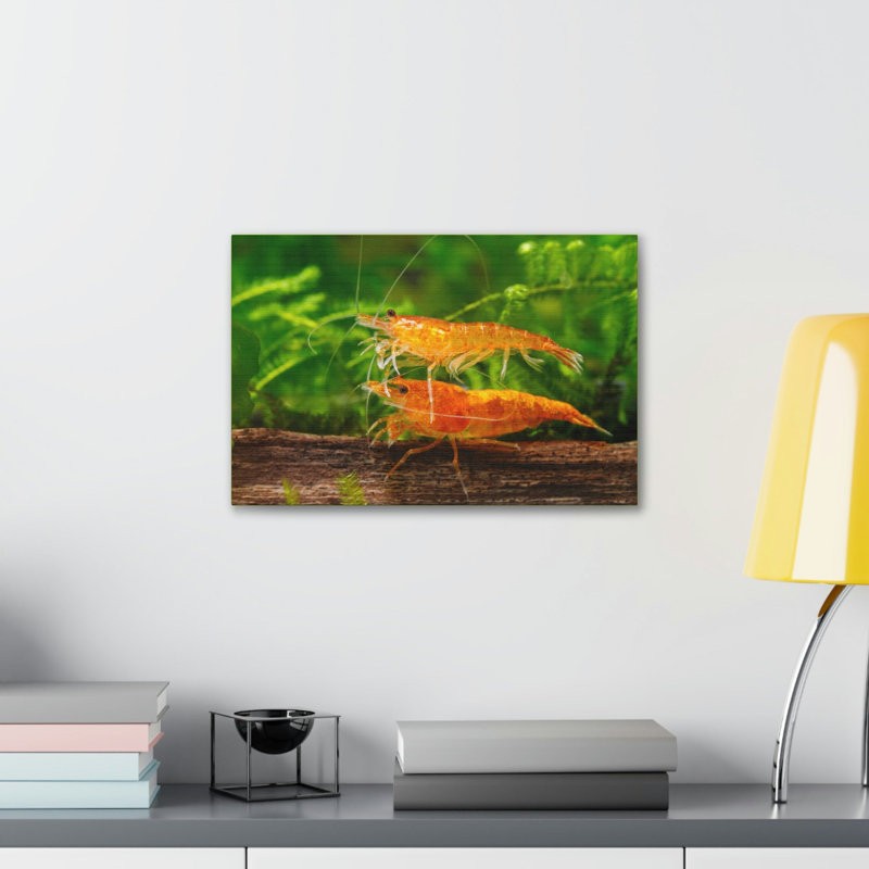 No Frame Print on Canvas, 11cm H x 14cm W