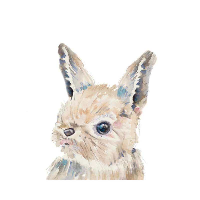 Baby Bunny Close Up by Patricia Pinto - Wrapped Canvas Gallery-Wrapped Canvas Giclée, 45.72 cm H x 45.72 cm W x 3.175 cm D