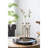 Elegant Glass Vial Flower Vase with Bronze Metal Frame, Perfect for Versatile Floral Displays and Home Decor.