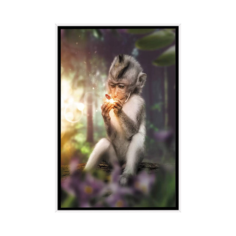 The Monkey & Butterfly by Zenja Gammer - Print on Canvas, White Framed, 66.04 cm H x 45.72 cm W