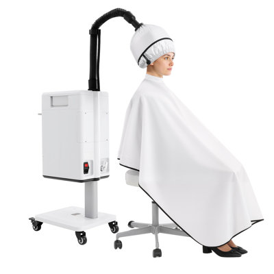 Professional Hair Steamer with Rolling Stand, 500W | Nano Mist Salon Hair Care Machine for Home & Beauty Use