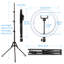 10 Inch RGB with Beauty Mirror and Tripod Lighting Kit
