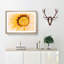 The Beauty of the Flower - Wall Art-105967071-105967072