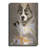 " Akita " by Barbara Keith-1667744227