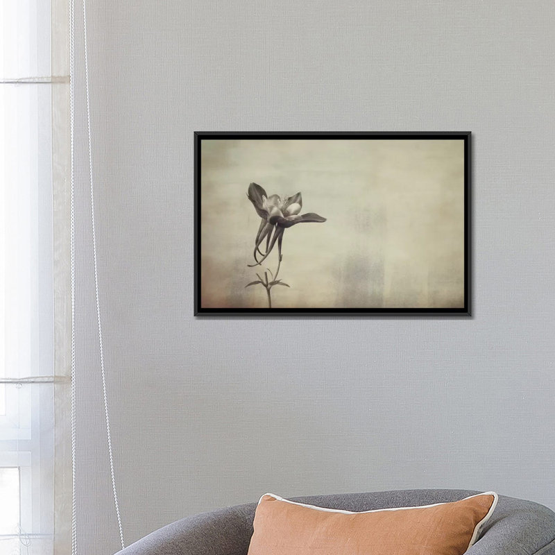 «Columbine», reproduction d'impression sur toile, H 18 po x l 26 po x P 1,5 po, Toile avec cadre noir, Pas de tapis
