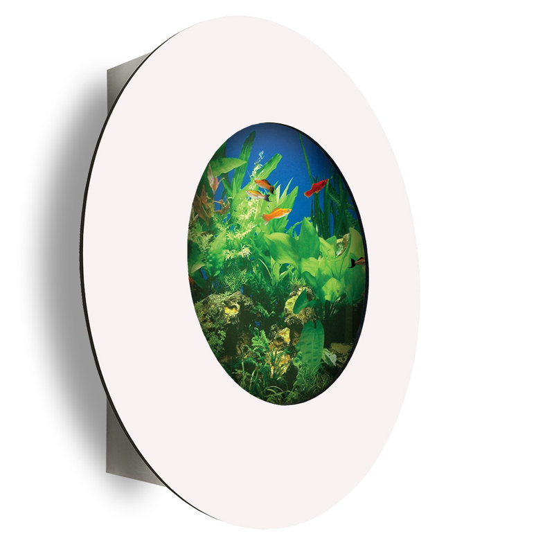 Aquarium rond 3 gallons Angelica, Blanc mat