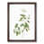 Walnut Framed