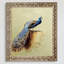 Peacock-cadre photo sur toile Luxury Line-49924086-49938994