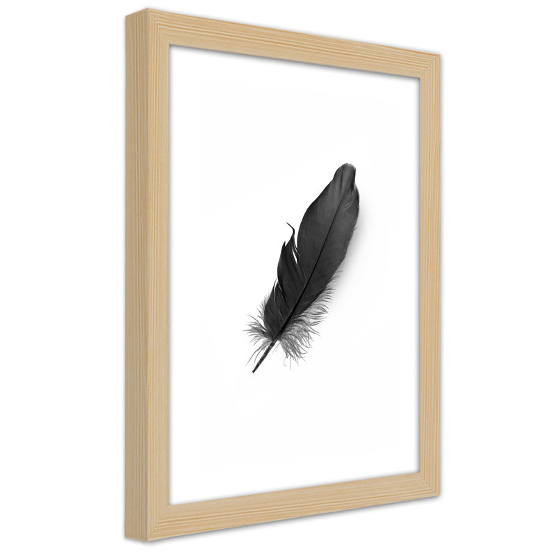 Black Feather Nature - Single Picture Frame Print, 90cm H x 60cm W, Light Brown