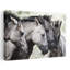 Peaceful Horse Family Peaceful Contemporary Horse Nature Portrait Wall Art Print 1 Piece Wrapped Canvas Wall Art-318685445