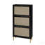 Range-chaussures 3 portes en rotin, moderne - standard