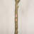 Chantrey 5FT Artificial Eucalyptus Tree for Indoor Home Decor