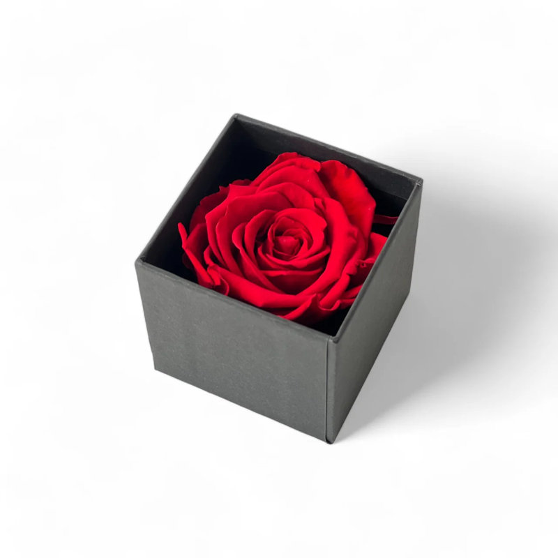Arrangement floral solitaire dans une boîte