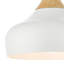 Nataly 1 - Light Dome Pendant-58956077