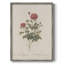 Impression florale vintage encadrée CLX III - bois massif-1382270628