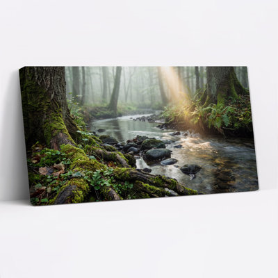 Toile «Misty Forest Stream with Sunlight»