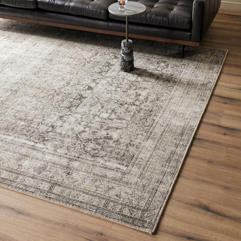 Nala Southwestern Area Rug in Natural/Light Brown, Rectangle 10' x 14'