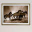 Chevaux sauvages - reproduction de cadre photo-31992063-33960039