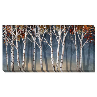 " Birch Shadows " Graphic Art Print
