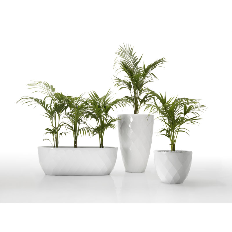 Pot de fleurs en résine Vases