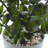 16'' Faux Succulent in Pot