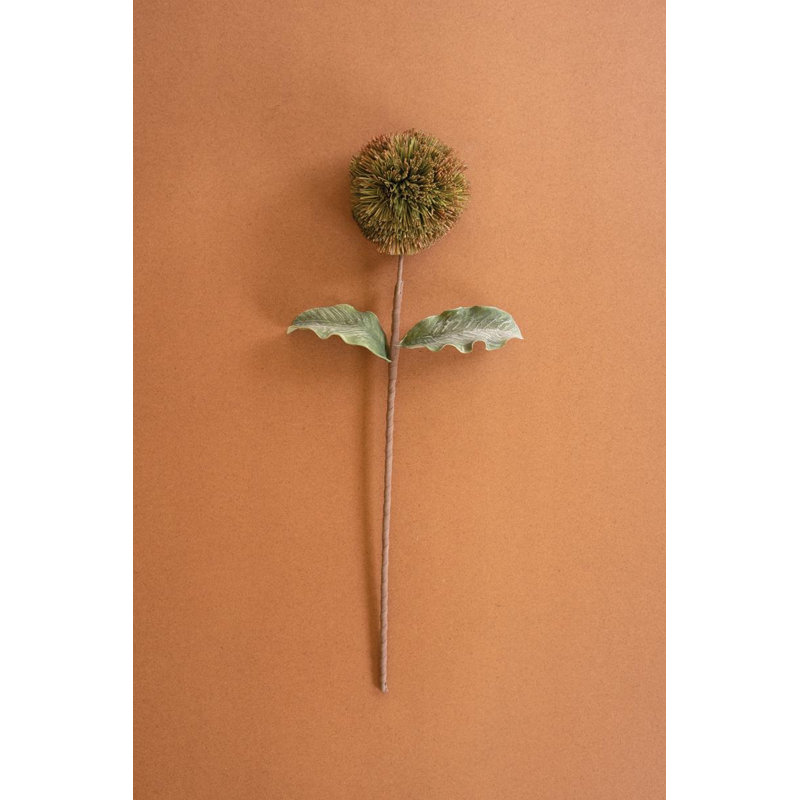 BOTANICA # 3620