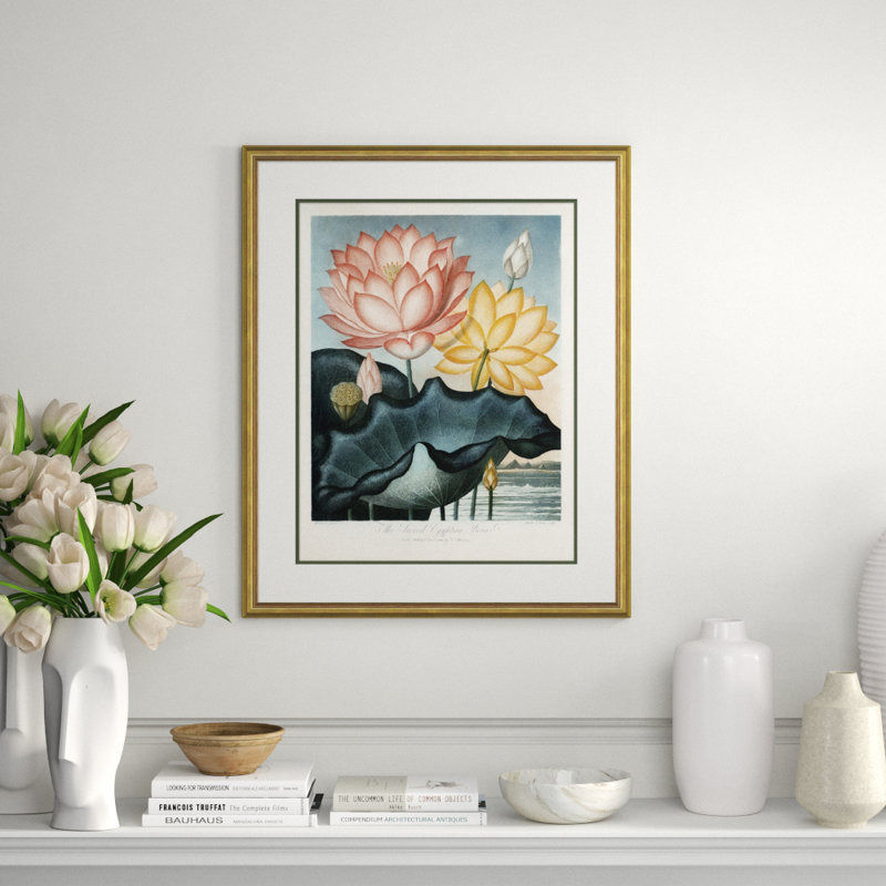 Botanicals 4 Giclee Print by Robert John Thornton