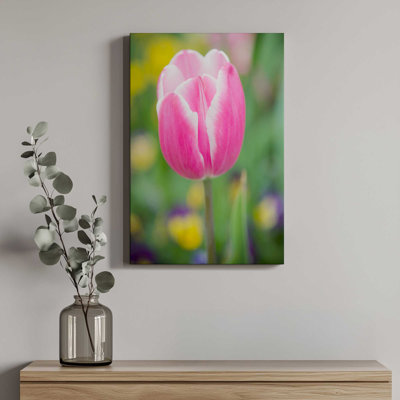 «Pink Tulip Blossoms II» par Sonja Quintero, reproduction d'art sur toile
