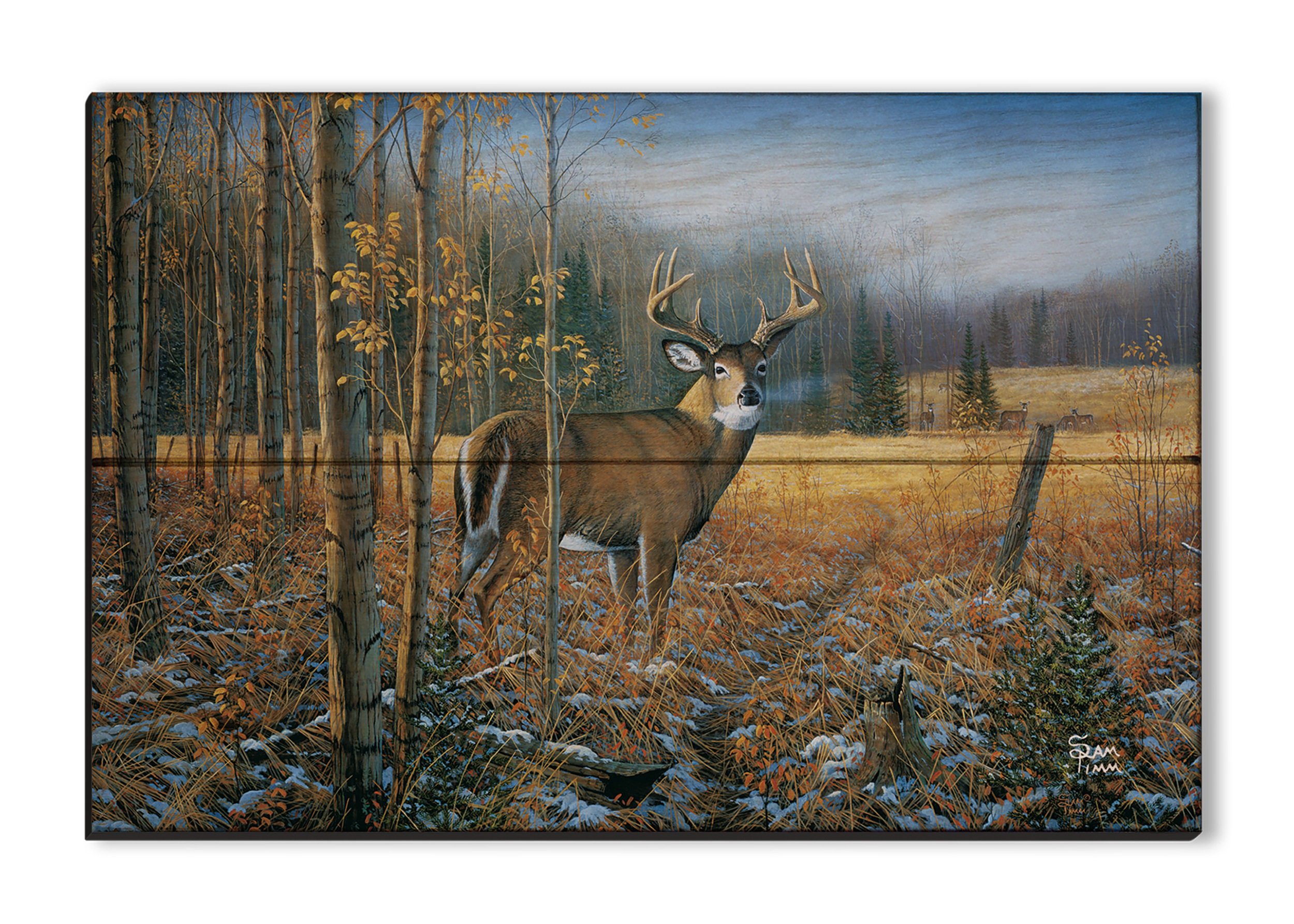 October Bliss - Framed Whitetail Deer Art Print