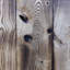 Milliner Solid Ash Sliding Door Primed