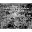 Latitude Run® Gallery Wrapped Canvas By Reinaldo Arenas: "There’s just one place to live - the imposs-2145122153