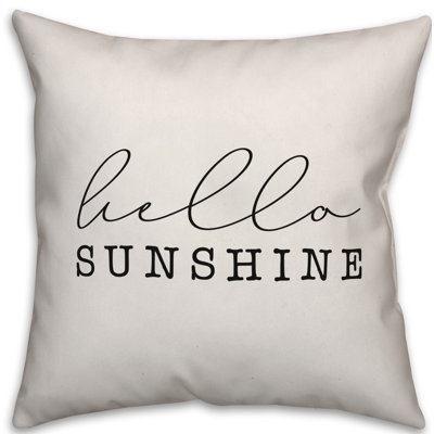  Housse de coussin carré et insert