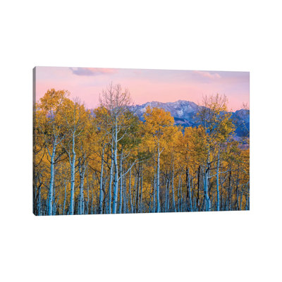 Autumn Delight by John Fan - Wrapped Canvas Print