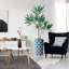66 plantes-97700200