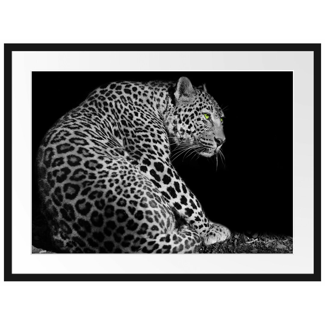 Gerahmtes Poster Dark wunderschöner Leopard