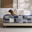 Matelas hybride en mousse viscoélastique rafraîchissante avec système de ressorts ensachés, conception Euro Top, support moyen ferme, très grand lit 12 po-788393352-788393364