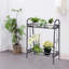 Plant Stand