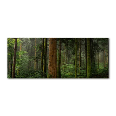 Fog In The Forest - Wrapped Canvas Print