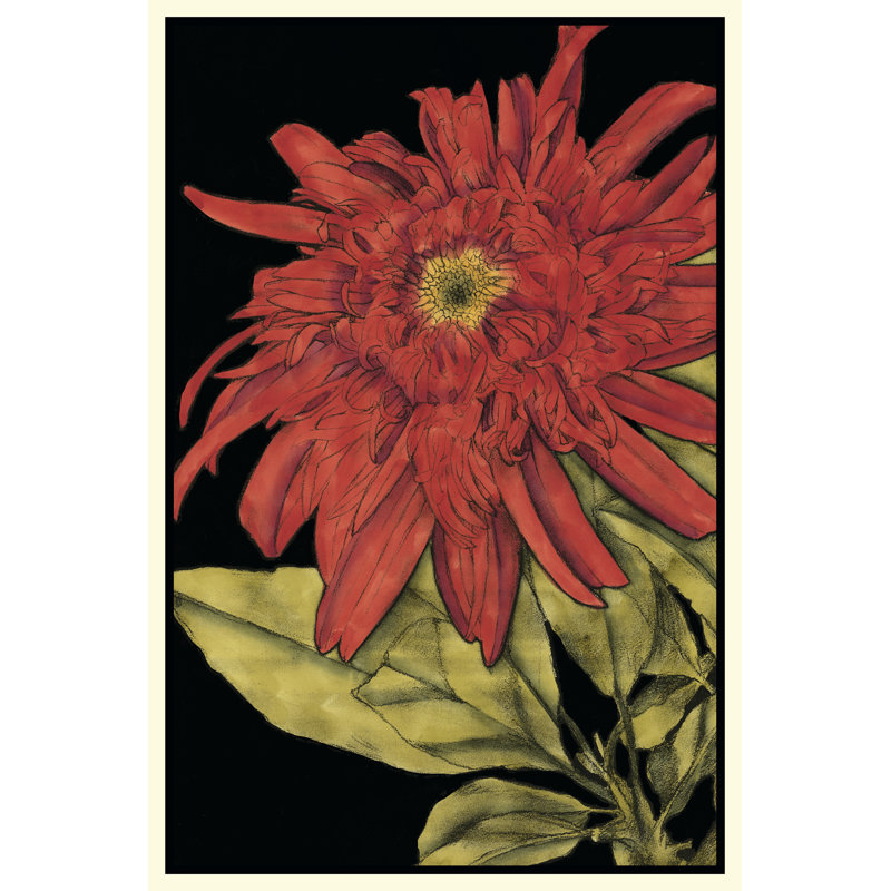 Radiance II by Jennifer Goldberger - Wrapped Canvas Art Prints, 76cm H x 51cm W x 3.8cm D
