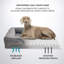 Ashtabula Orthopedic Cotton Pet Bed