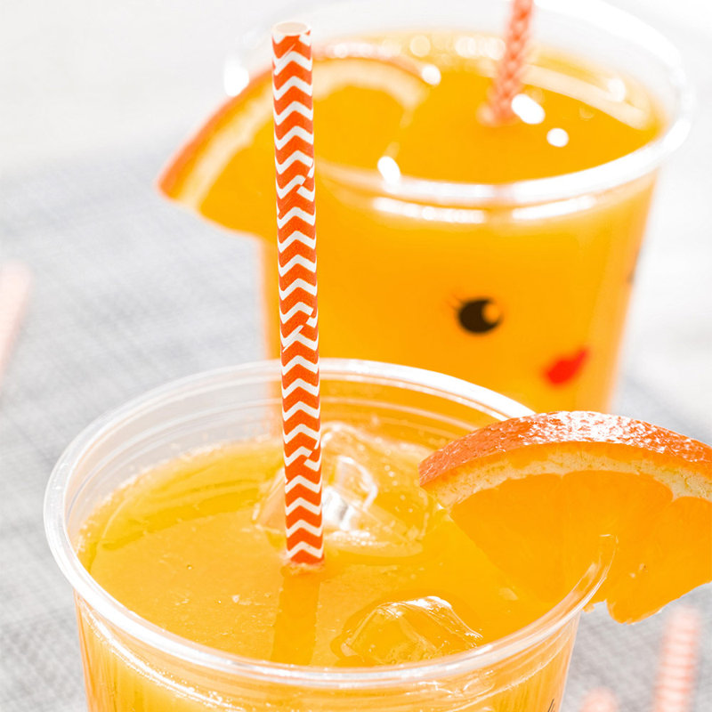 Paper Straws & Drink Accessories