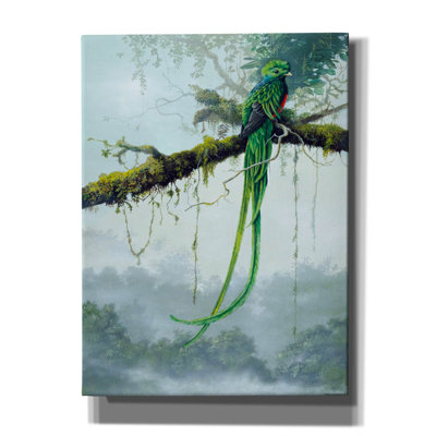 'Resplendent Quetzal' by Harro Maass, Canvas Wall Art