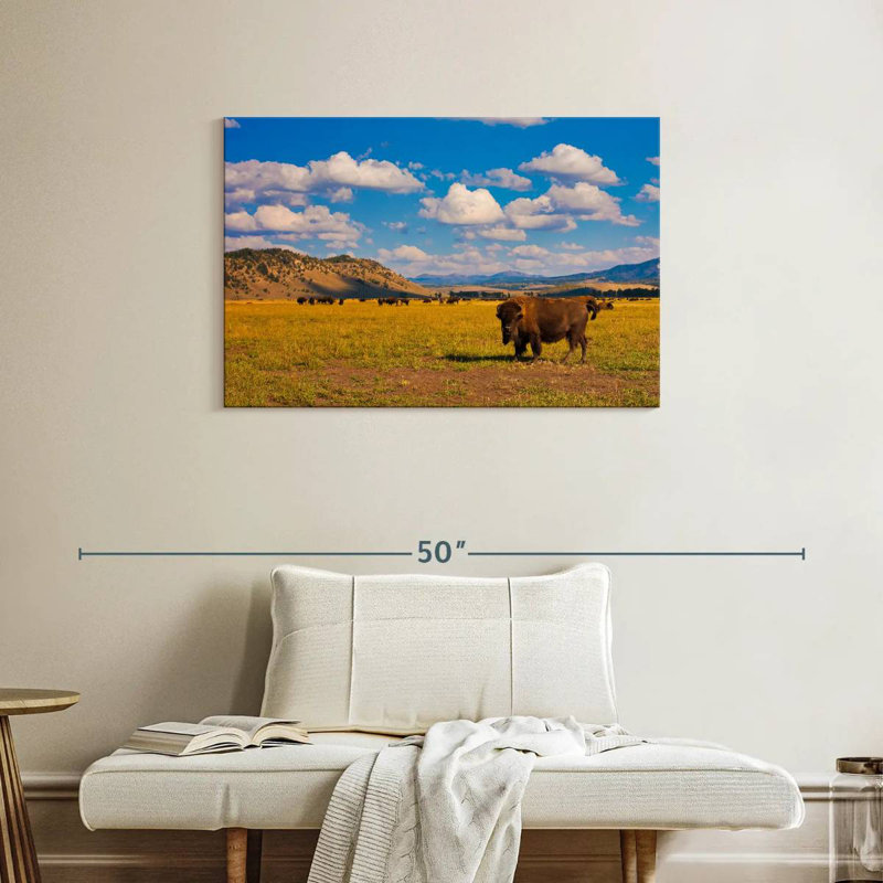 Bison dans le parc national, H 24 po x l 36 po