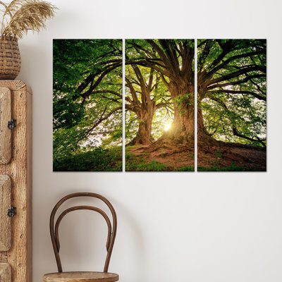 Reproduction d'art sur toile imprimée: paysage de forêt, vue sur la nature, toile tendue 3P